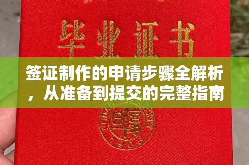 达川签证制作的申请步骤全解析，从准备到提交的完整指南