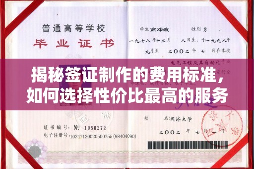 达川揭秘签证制作的费用标准，如何选择性价比最高的服务？
