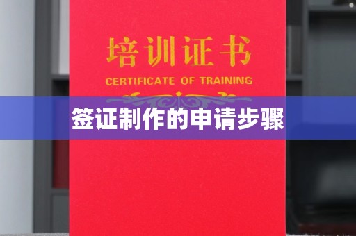 达川签证制作的申请步骤