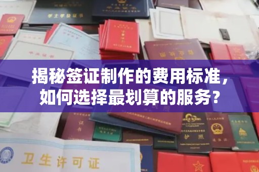 达川揭秘签证制作的费用标准，如何选择最划算的服务？