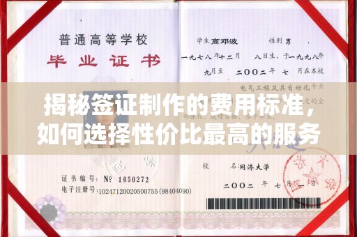 达川揭秘签证制作的费用标准，如何选择性价比最高的服务？