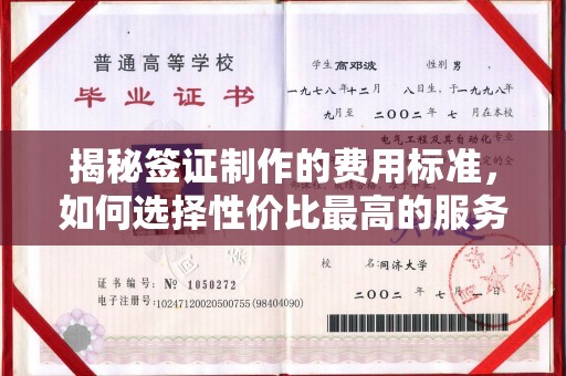达川揭秘签证制作的费用标准，如何选择性价比最高的服务？
